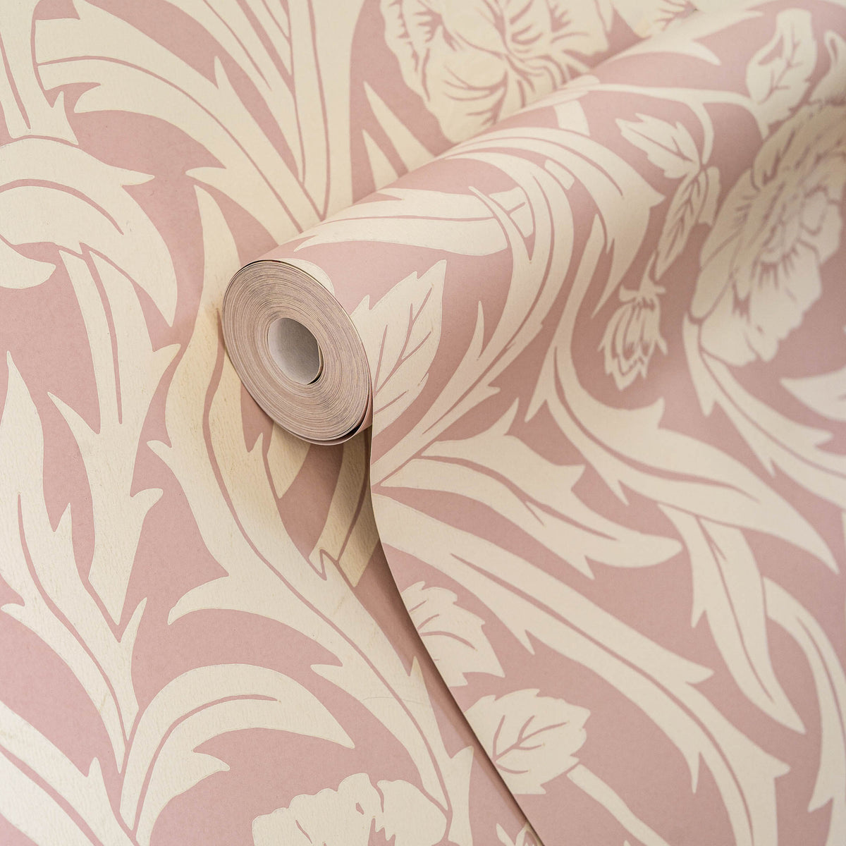 Antique Rose